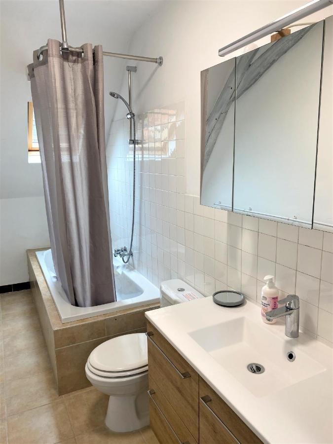 Le Chant Des Oiseaux, 3Km Du Zoo De Beauval, Parking Gratuit ,Wifi Et Netflix Gratuits Saint-Aignan  Exterior foto